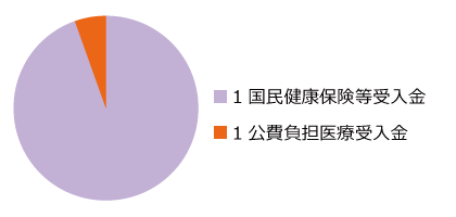 診療報酬審査支払(国保等・公費支払勘定)特別会計 歳入