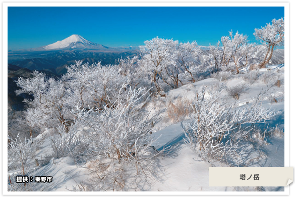 神奈川県国民健康保険団体連合会